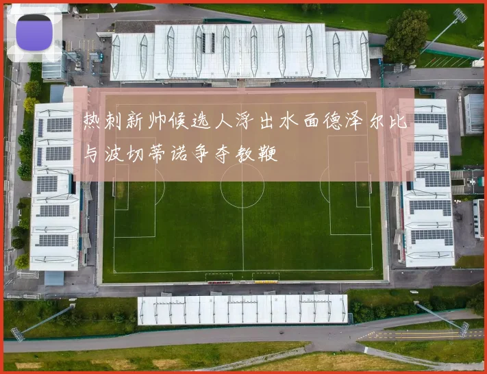 热刺新帅候选人浮出水面德泽尔比与波切蒂诺争夺教鞭