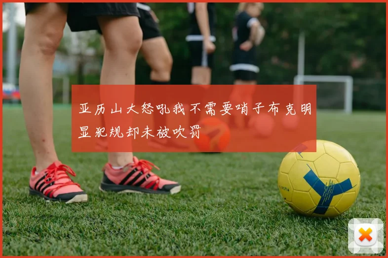 亚历山大怒吼我不需要哨子布克明显犯规却未被吹罚